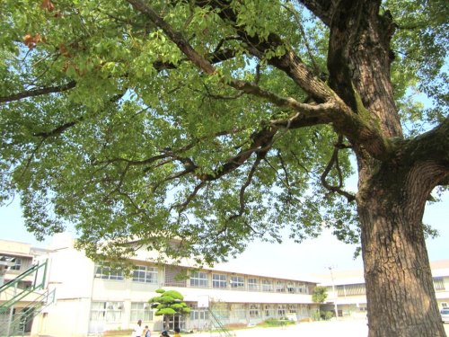 【福山市川口町のアパートの小学校】