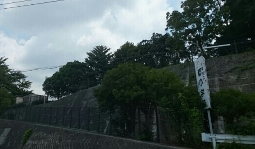 小学校　都小学校（小学校）まで1080m