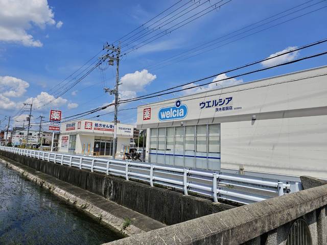 ドラックストア　ウエルシア茨木若園店（ドラッグストア）まで307m