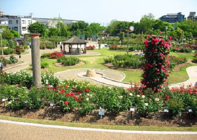 公園　若園公園（公園）まで453m