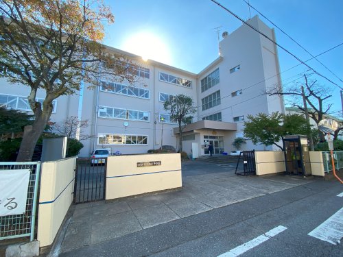 中学校　松戸市立第三中学校（中学校）まで1255m