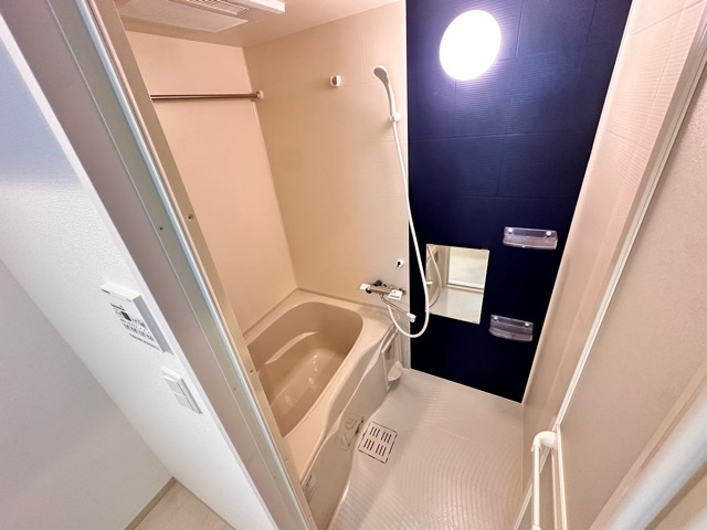 FREEDOM residence堺深井沢町の風呂写真