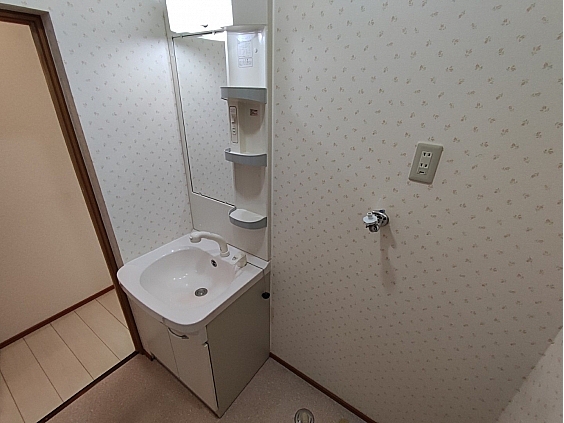 洗面設備　参考写真　シャンプードレッサー　洗濯機置場があります。