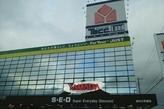 その他　ヤマダ電機テックランド大雪通店（その他）まで550m