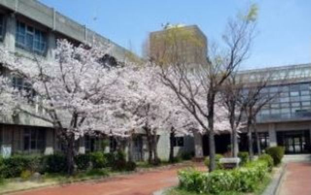 小学校　岸和田市立八木北小学校（小学校）まで1154m