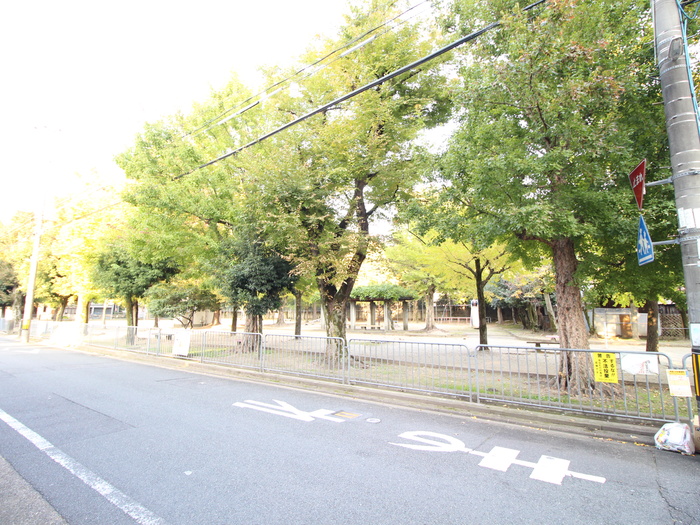 公園　公園（公園）まで5m