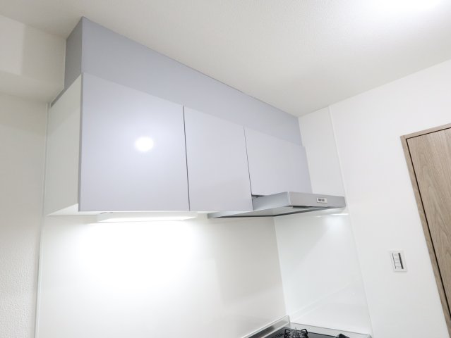 その他　同系反転モデル写真