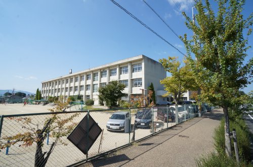 小学校　畝傍東小学校（小学校）まで289m