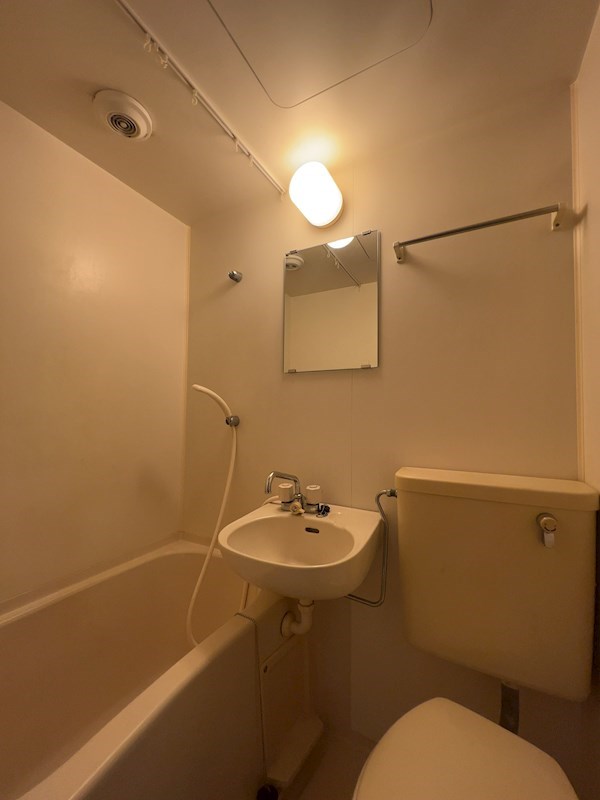 バス・シャワールーム　同タイプ別部屋の写真です