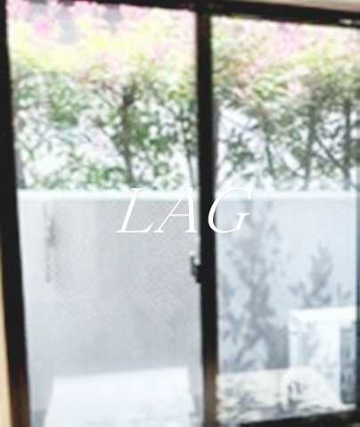 バルコニー　バルコニーです。