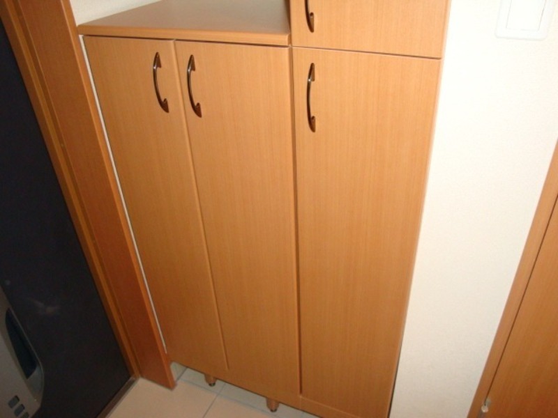 玄関　図面と現状に相違がある場合には現状を優先