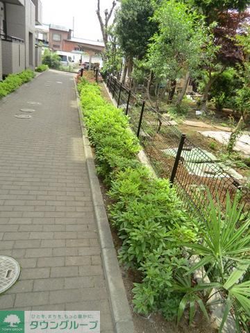 庭　植栽