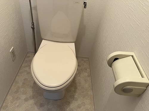 トイレ　※写真は同じマンションの違う部屋のものになります。