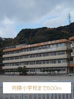 小学校　向陽小学校（小学校）まで500m