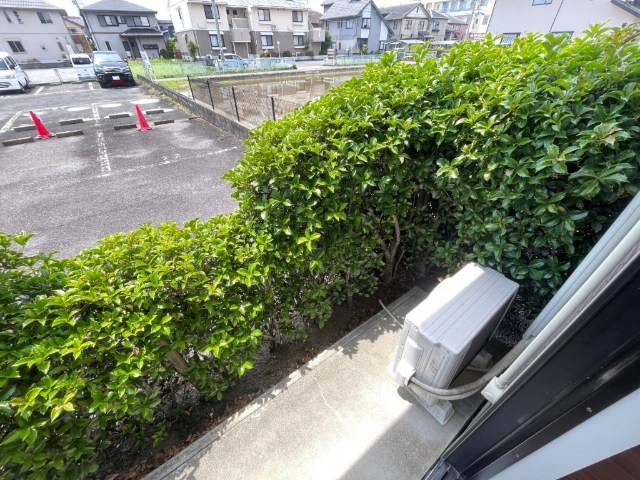 庭