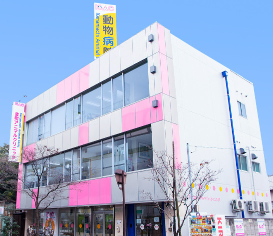 病院　金町アニマルクリニック（病院）まで520m