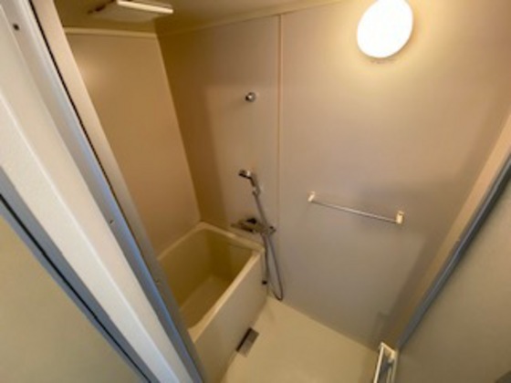 バス・シャワールーム　※別部屋の写真です