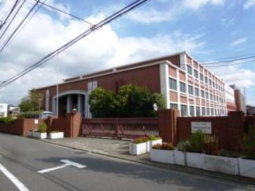 大学・短大　私立日本女子体育大学（大学・短大）まで1228m