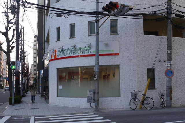 病院　新町動物病院（病院）まで242m