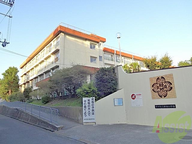 小学校　緑地小学校（小学校）まで250m