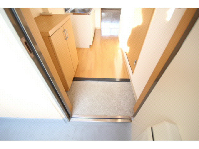 玄関　マンション内の、別のお部屋の写真です。