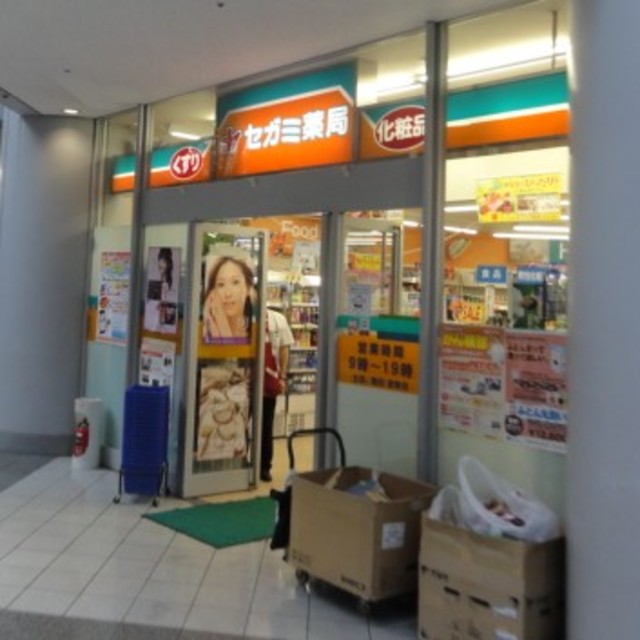 ドラックストア　ドラッグセガミ芝浦店（ドラッグストア）まで888m