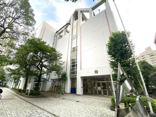 小学校　佃島小学校（小学校）まで739m