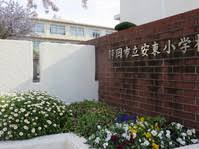 小学校　安東小学校（小学校）まで858m