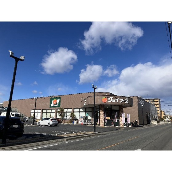 スーパー　ジョイフーズ前橋南店（スーパー）まで594m