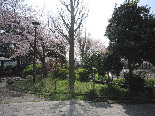 公園　猿江恩賜公園（公園）まで350m