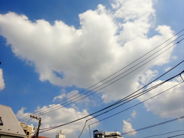 東急田園都市線 駒沢大学駅 徒歩7分 4階建 築17年のその他写真