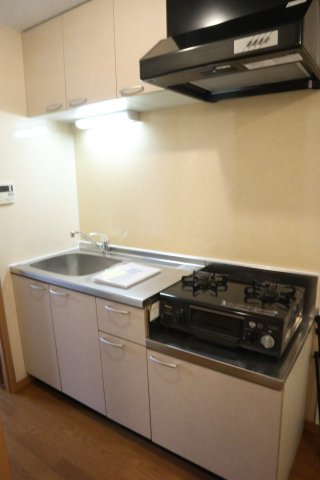 レオ五番館のキッチン写真