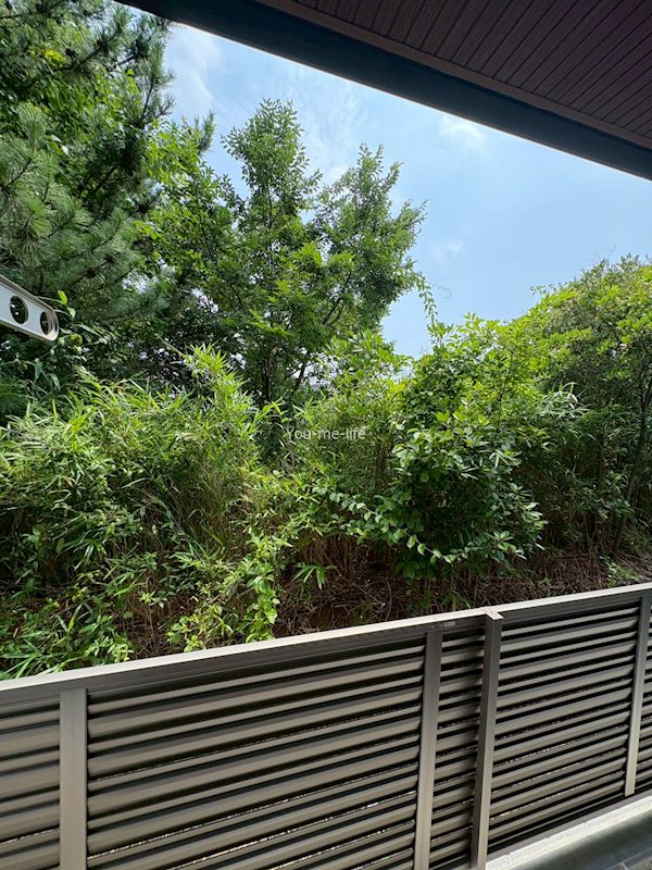 眺望　別部屋参照