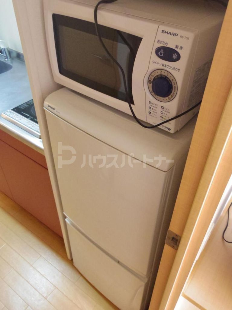 クリサンスマムIIのその他写真