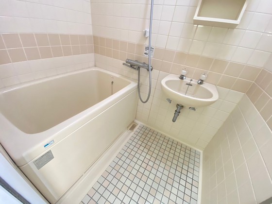 バス・シャワールーム　※別部屋の写真です