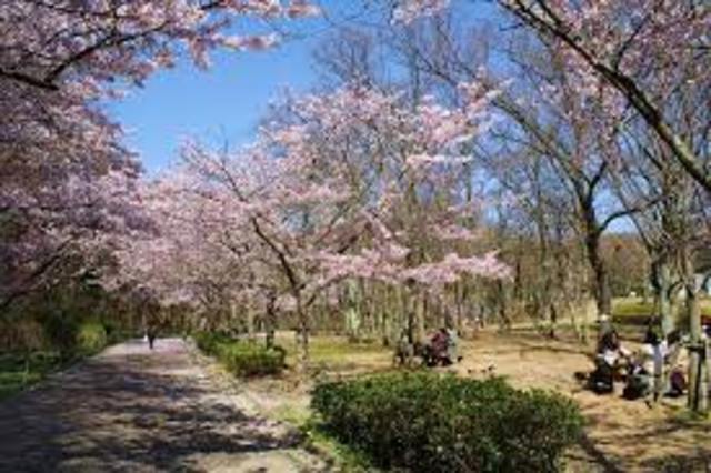 公園　金ケ崎公園（公園）まで1871m