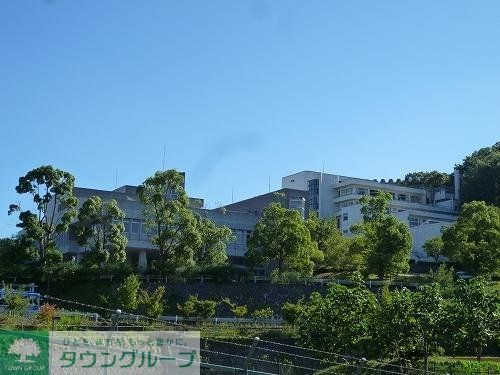 その他　多摩美術大学（その他）まで2300m