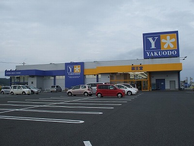 その他　薬王堂（その他）まで300m