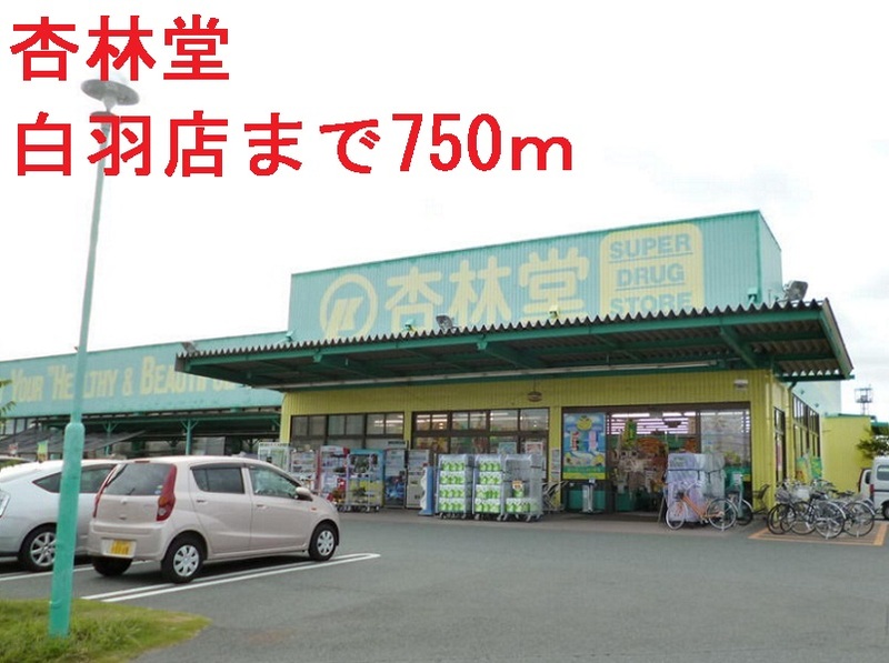 その他　杏林堂（その他）まで750m