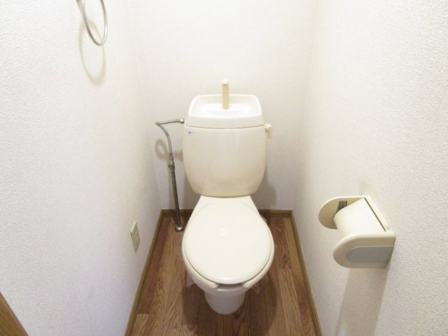 トイレ　同物件別部屋のお写真です