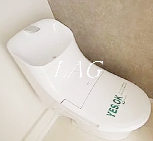 トイレ　トイレです。