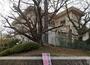 小学校　大分市立桃園小学校（小学校）まで923m