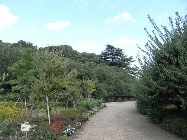 公園　哲学堂公園（公園）まで350m