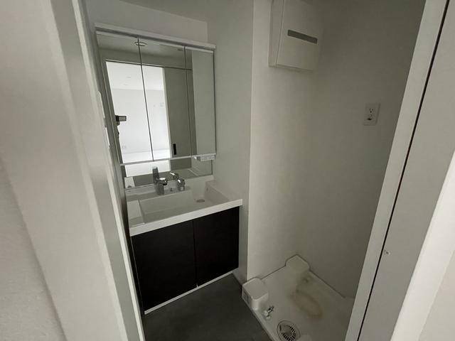 洗面設備　忙しい朝に嬉しいシャワー付き洗面台です。