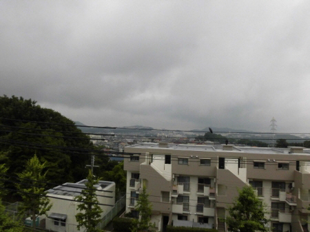 その他　写真は同マンションの別のお部屋のものです