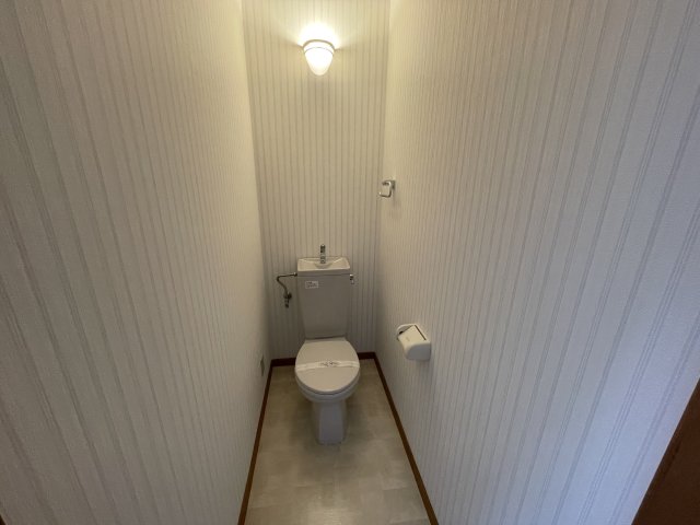 トリエスタ吉井のトイレ写真