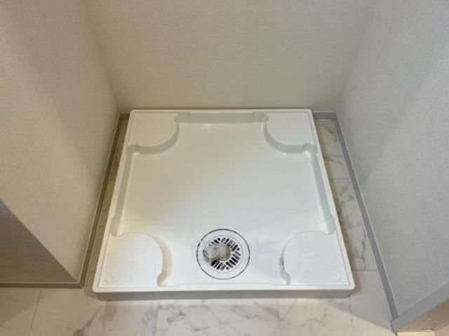 サルファーのその他写真