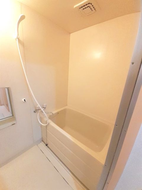 ロマニー高柳 IIの風呂写真