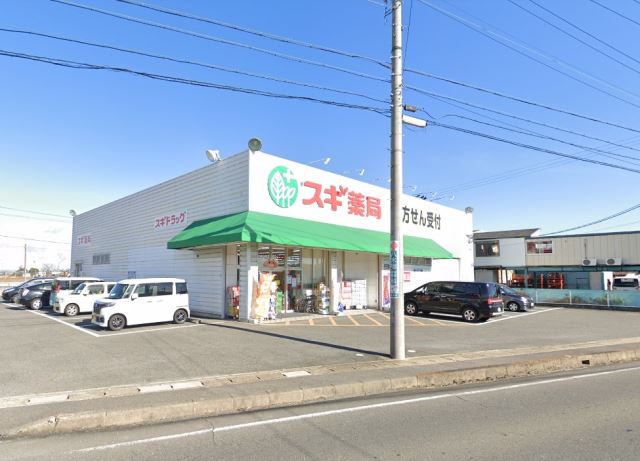 ドラックストア　スギ薬局　神守店（ドラッグストア）まで770m