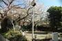 公園　荏原西公園（公園）まで1182m